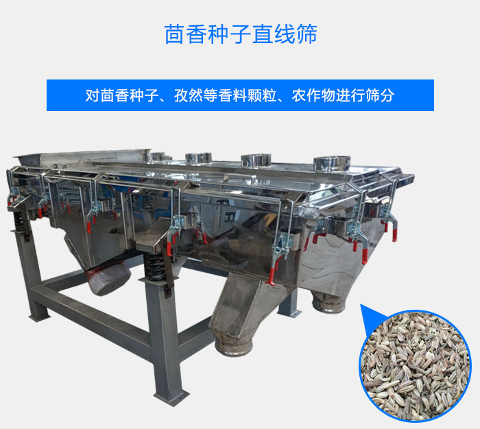 茴香种子直线筛