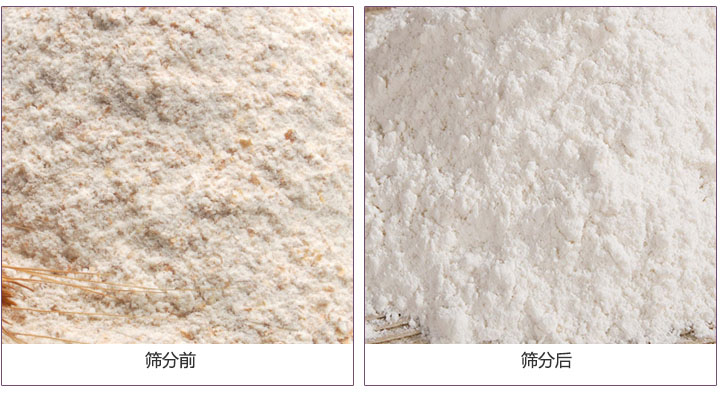 红薯淀粉不锈钢振动筛