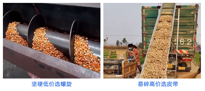 粮食螺旋输送机和皮带输送机